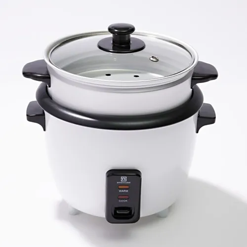 تعمیرات انواع پلوپز برقی در کرج،اندیشه و غرب تهران مرکز حانی فیکس علی بغدادی